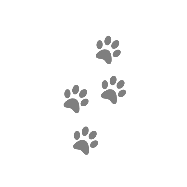 大変な介護の毎日に小さな幸せを持ってきてくれるペットの足跡のイメージ画像