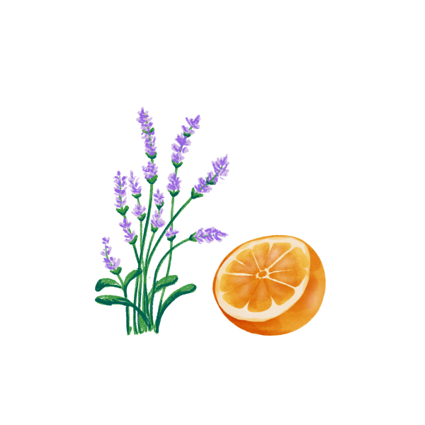 ラベンダーとオレンジの画像